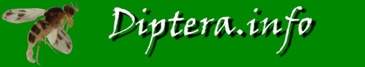 Diptera.info