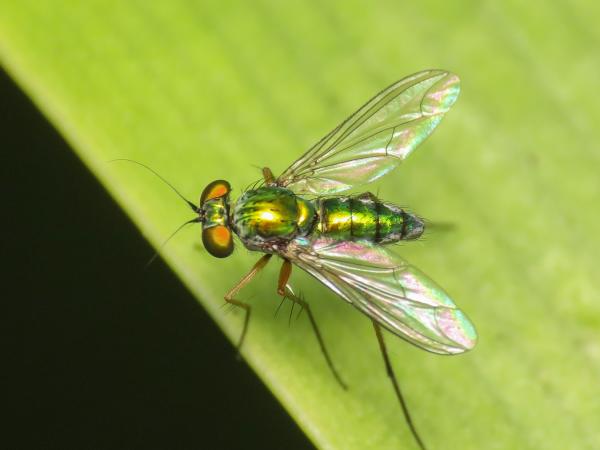 img_3373_3.jpg