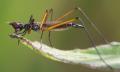Click to view 070525-i4546samp_t1.jpg