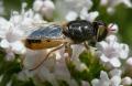 zdi220630-079_t1.jpg