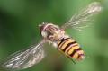 Click to view 070517-i4015samp_t1.jpg