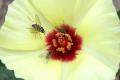 Click to view dipter16-300x199_t1.jpg