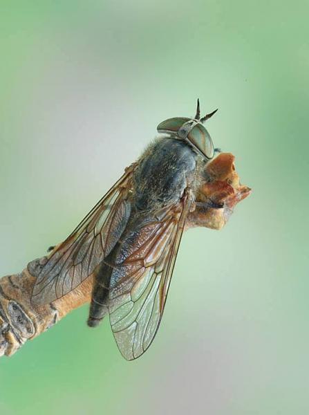 imgonline-com-ua-resize-rjt0aud2cqbdofp0.jpg