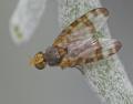 Click to view 20d64497c_t1.jpg